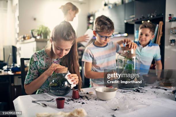 family enjoying making plant bottle gardens - terrarium stock pictures, royalty-free photos & images