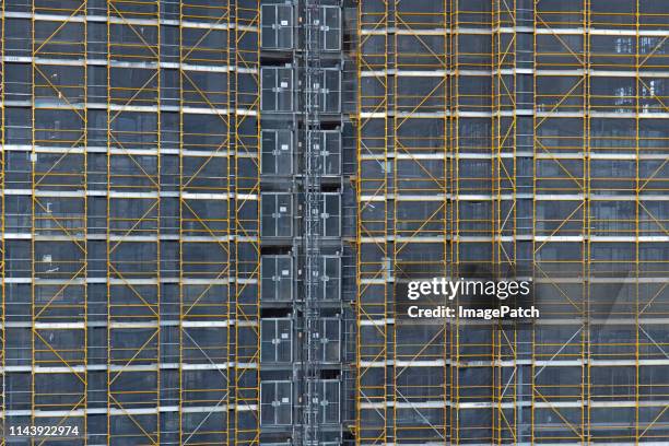 Complex Meshwork Meshwork Photos and Premium High Res Pictures - Getty Images