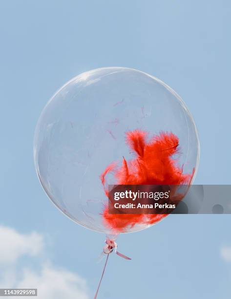 Ballon Invisable 1,191 Transparent Balloon Stock Photos, High-Res Pictures, and Images ...