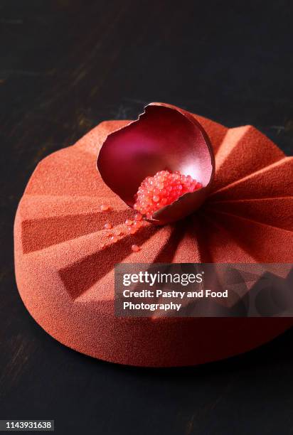 contemporary chocolate mousse cake made in geometric silicone mold - gelatin mold ストックフォトと画像