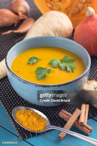 vegetable soup - soupe de légumes photos et images de collection