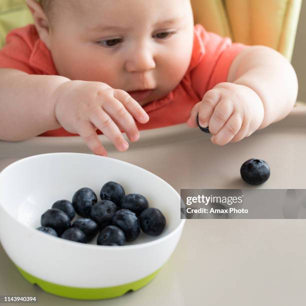 Blue Raspberry Baby's 286 Blueberry Baby Stock Photos, High-Res Pictures, and Images - Getty ...