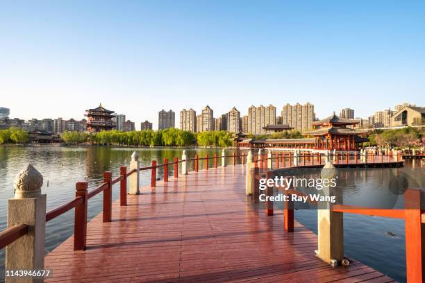 datang lotus garden in xian,shanxi - xi'an stock-fotos und bilder