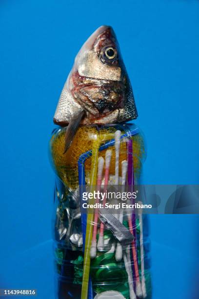 238 Plastic Straw Animal Photos and Premium High Res Pictures - Getty Images