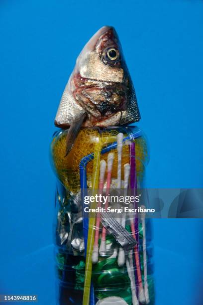 238 Plastic Straw Animal Photos and Premium High Res Pictures - Getty Images 238 Plastic Straw Animal Photos and Premium High Res Pictures - Getty Images