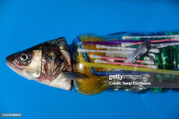 oceans of plastic - poisonous organism stock pictures, royalty-free photos & images
