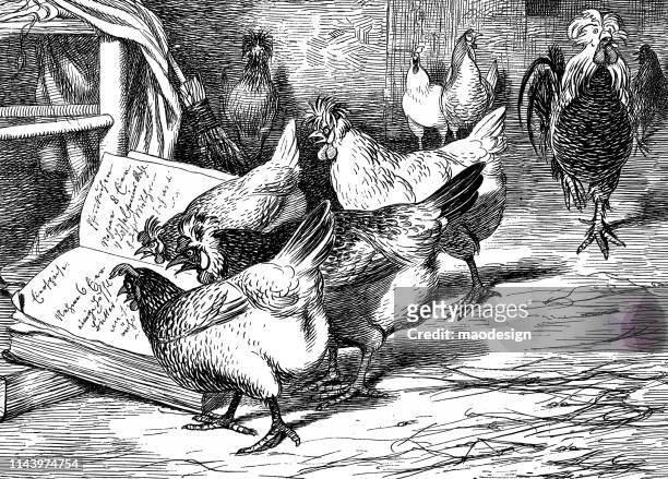 ilustra�ções, clipart, desenhos animados e ícones de no celeiro de frango - 1896