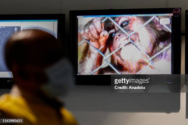 Health officer stands in front of a monkeypox virus information at Soekarno-Hatta International Airport in Tangerang near Jakarta, Indonesia on May...