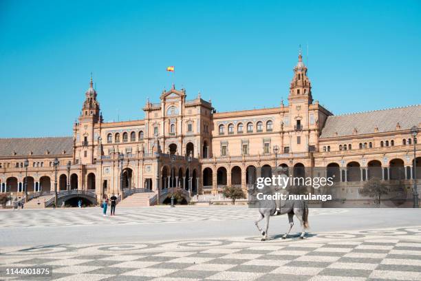 a horseman at plaza de espana, seville - andalusian horse stock pictures, royalty-free photos & images