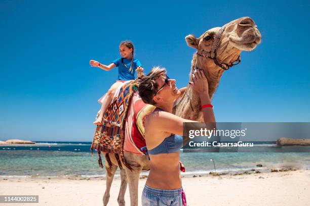 fille et mère appréciant utilisant un chameau sur des vacances en egypte - mer rouge photos et images de collection