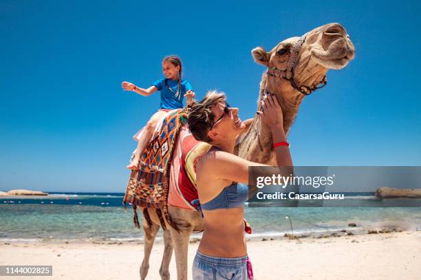 daughter and mother enjoying using a camel on vacations in egypt - egyptian family imagens e fotografias de stock