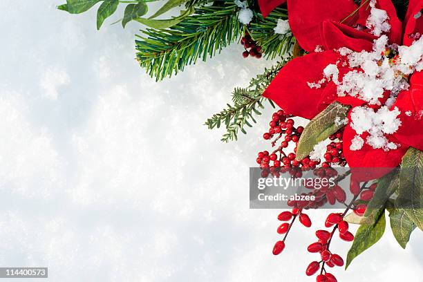 poinsettia and berry christmas wreath against snow background - kerstroos stockfoto's en -beelden