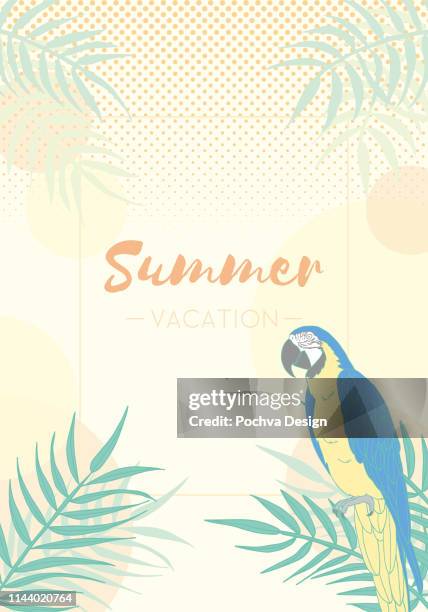 macaw and palm leaves decoration frame - macaw stock illustrations