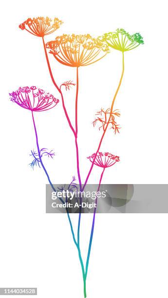 dying flower buds rainbow - dill stock illustrations