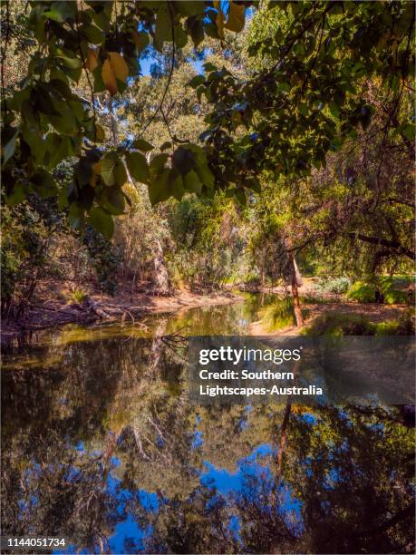 53 Bendigo Botanic Gardens Stock Photos, HighRes Pictures, and Images