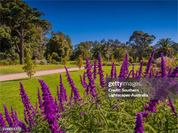 53 Bendigo Botanic Gardens Stock Photos, HighRes Pictures, and Images