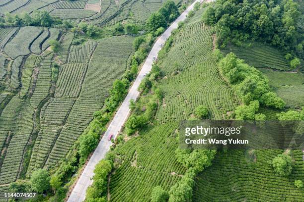 aerial photo of the tea mountain in xinyang, henan province, china - 河南省 fotografías e imágenes de stock