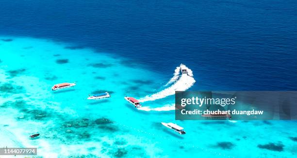 top view of tropical beach, similan islands, andaman sea, thailand - similan islands stock pictures, royalty-free photos & images