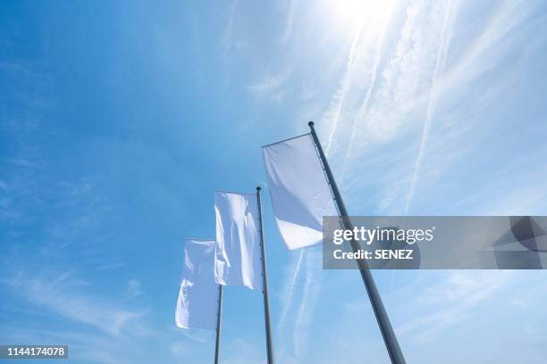 low angle view of white flag - flagpole stock-fotos und bilder