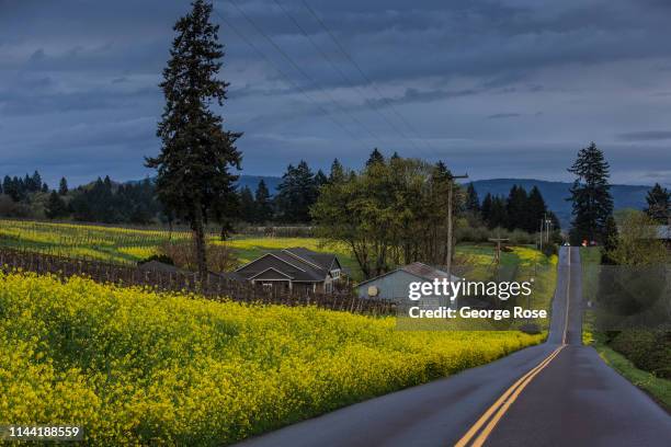 Heavy rain continues to drench Oregon's Willamette Valley Wine Country and causing serious flooding in much of the state as viewed on April 11 near...