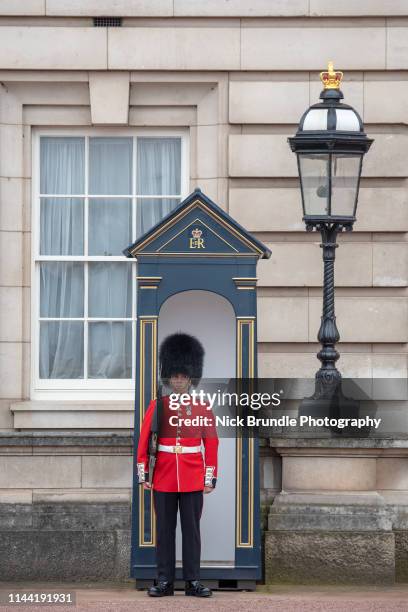 buckingham palace guard, london, great britain. - honor guard stock pictures, royalty-free photos & images