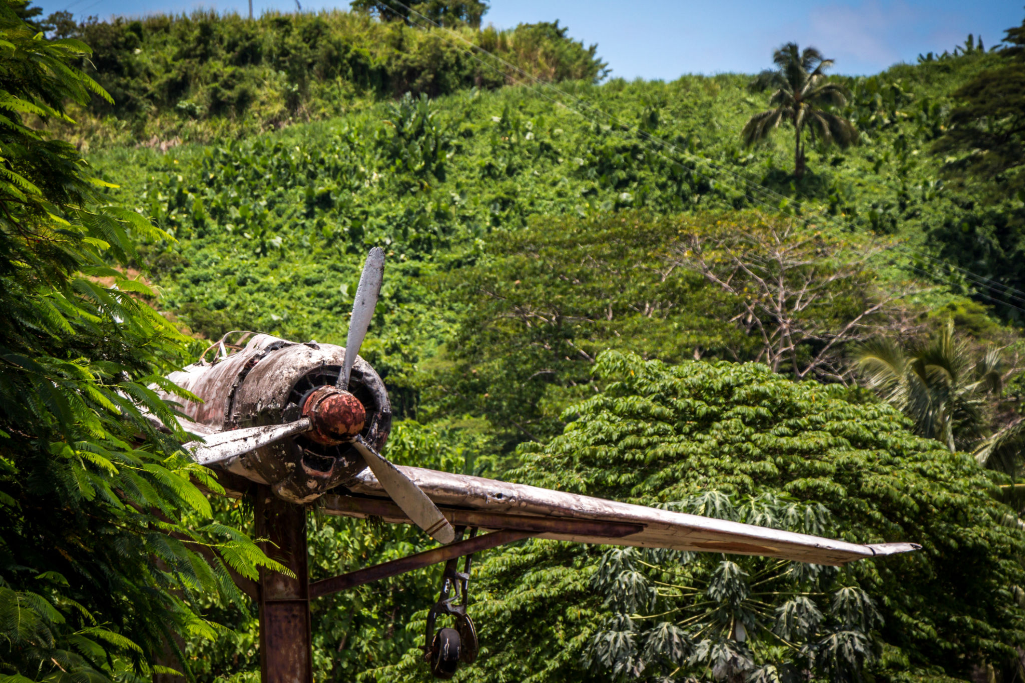 A World War II Airplane in Papua New Guinea A World War II Airplane in Papua New Guinea