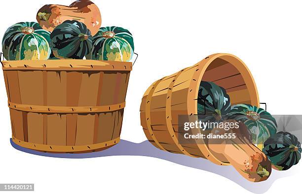 baskets of squash - winter squash stock illustrations