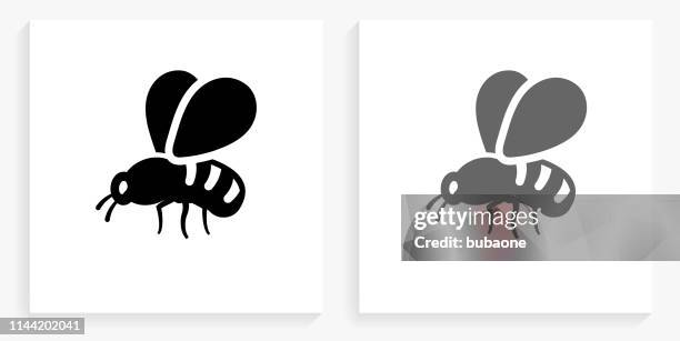 bee black and white square icon - fly insect stock illustrations