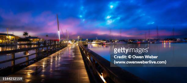 morning on the docks - naples florida stock pictures, royalty-free photos & images