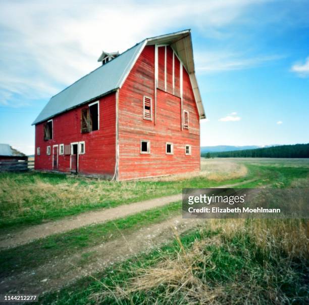 montana red barn - kalispell stock pictures, royalty-free photos & images