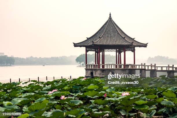 daming lake scenic area,jinan,shandong province,china - jinan fotografías e imágenes de stock