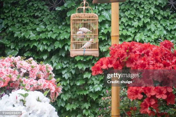 67 Xihui Park Stock Photos, High-Res Pictures, and Images - Getty Images