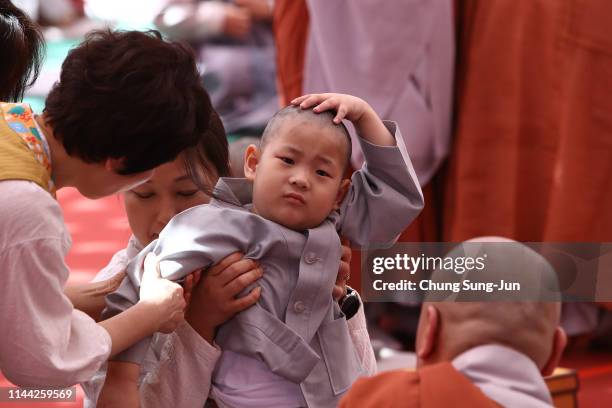 Child gets his head shaved by a Buddhist monk during the 'Children Becoming Buddhist Monks' ceremony forthcoming buddha's birthday at a Jogye temple...