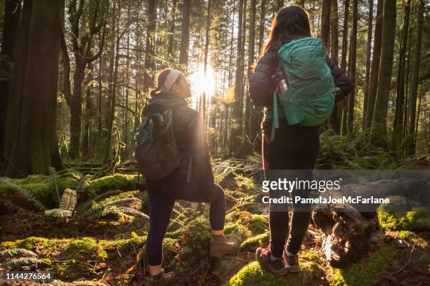 多民族の姉妹ハイキングは森の中で輝く日光を賞賛するために停止します - lane sisters ストックフォトと画像