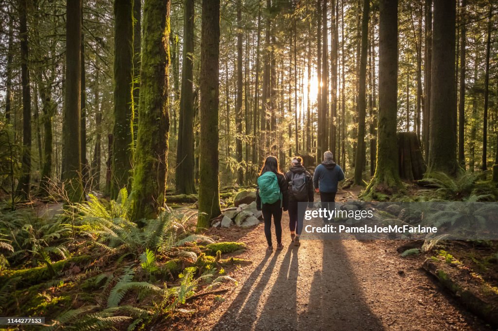 Multi-Ethnic Family Walking Along Sunlit Forest Trail, Father and Daughters