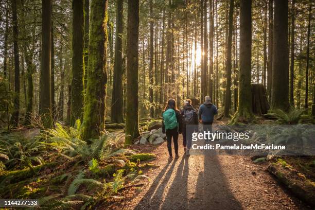 multi-ethnic family walking along sunlit forest trail, father and daughters - vancouver stock pictures, royalty-free photos & images