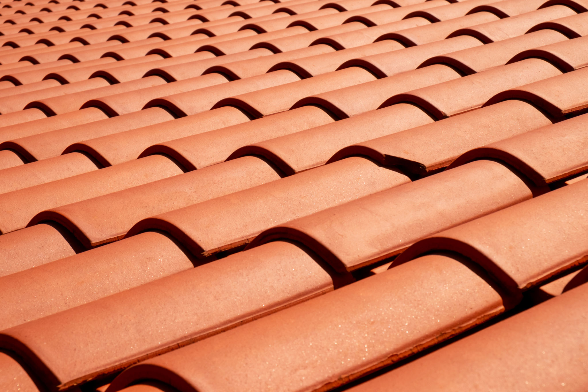 roof painting cost