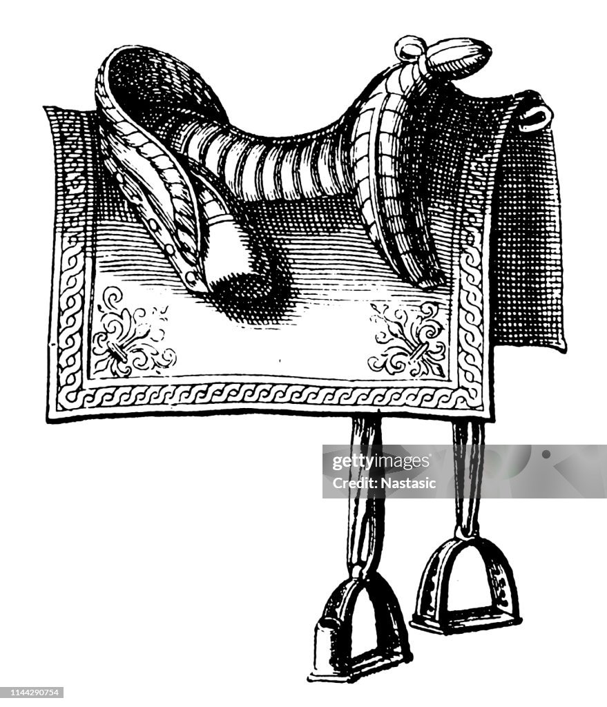 Victorian stuffed buckskin horse side saddle