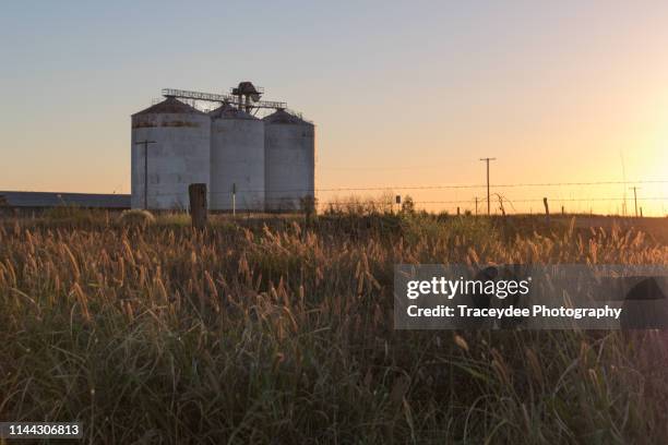 grain silos in roma, queensland - agricultural equipment stock pictures, royalty-free photos & images