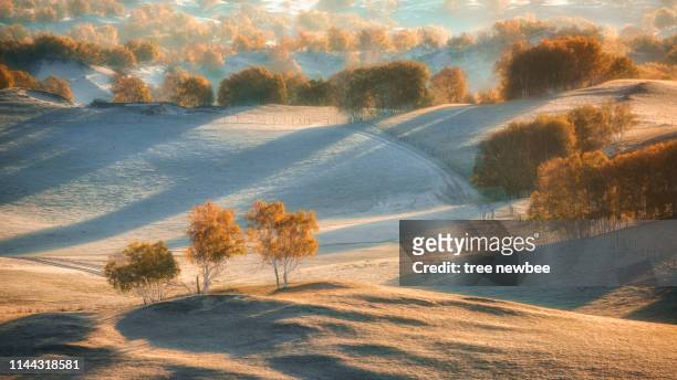morning mist in autumn - nature reserve stock pictures, royalty-free photos & images