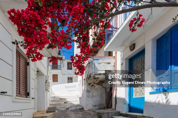 tiny greek street in the town - skopelos photos et images de collection
