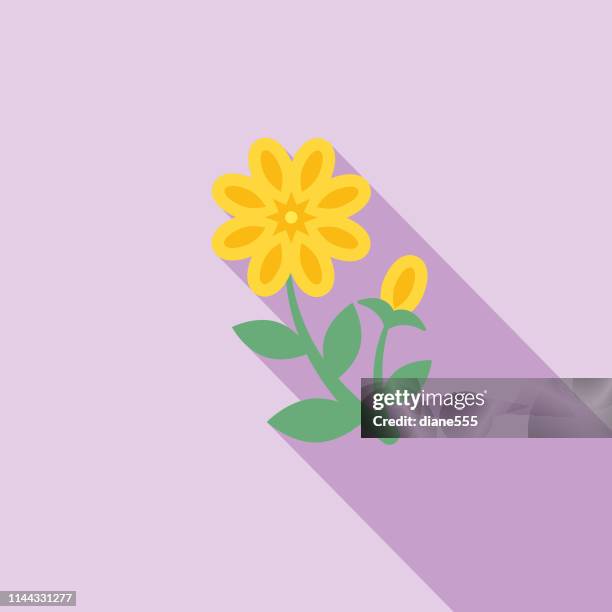 cute flower icon in flat design - yellow calendula - ranunculus stock illustrations