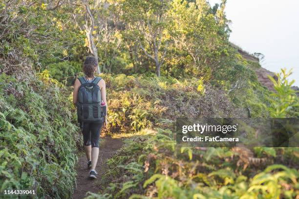 young woman hikes solo in the mountains - north shore stock pictures, royalty-free photos & images