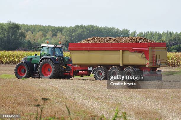 tractor with container loaded with potatoes,flanders,belgium. - tractor stockfoto's en -beelden