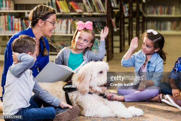 bambini in biblioteca con cane da assistenza alla lettura - bambini seduti in cerchio foto e immagini stock