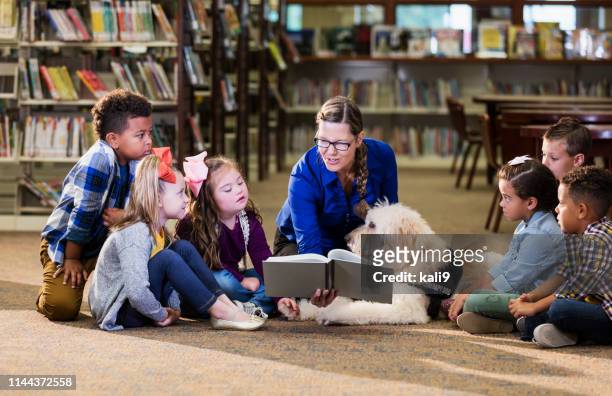 children in library with reading assistance dog - special needs children stock pictures, royalty-free photos & images