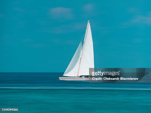 beautiful sailboat clean landscape - regatta stock pictures, royalty-free photos & images