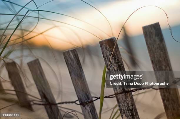 sunrise beach fence, pensacola, florida - pensacola beach stockfoto's en -beelden