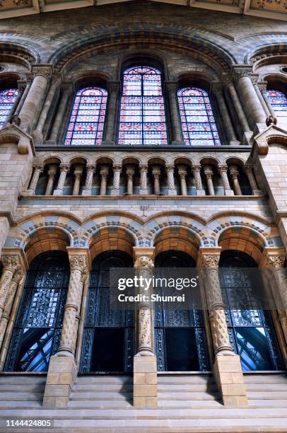 natural history museum, london - natural history museum london stock pictures, royalty-free photos & images