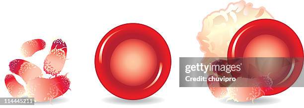 stockillustraties, clipart, cartoons en iconen met blood components - bloedplaatje